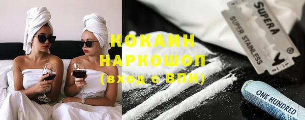 индика Нея