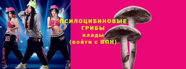 mdma Новозыбков