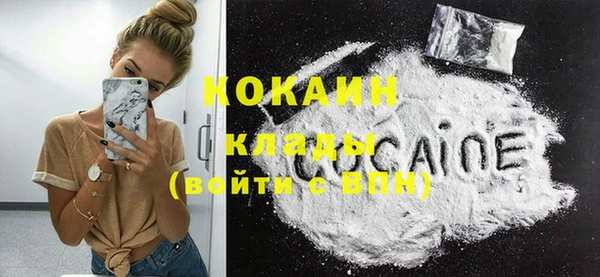 индика Нея