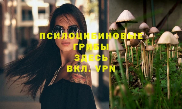 индика Нея