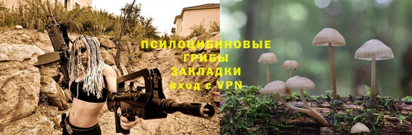 mdma Новозыбков