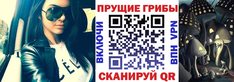 blacksprut маркетплейс  Собинка  Галлюциногенные грибы MAGIC MUSHROOMS 